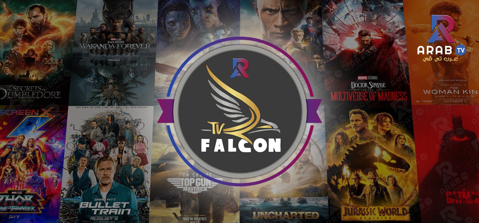 وصف ومعلومات عن اشتراك فالكون برو falcon pro IPTV وصف ومعلومات عن اشتراك فالكون برو falcon pro IPTV